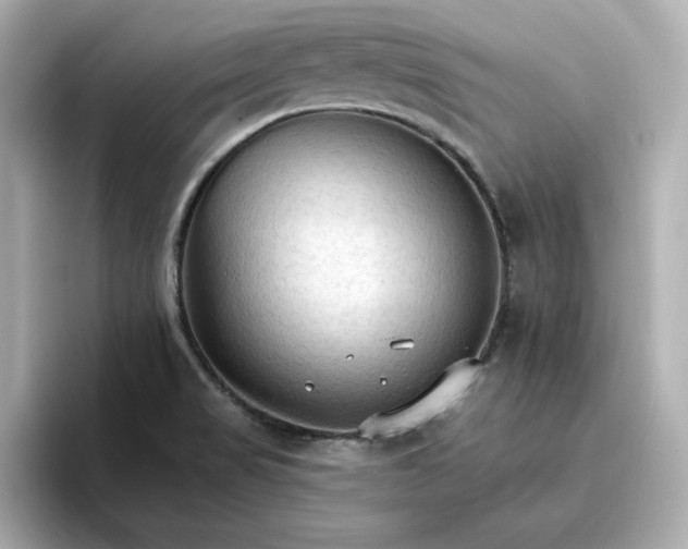 X0000096971517200802221352