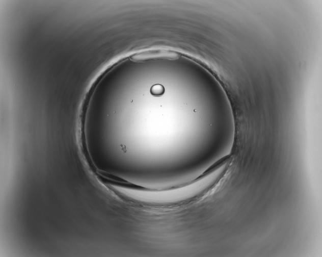 X0000096971518200802221352