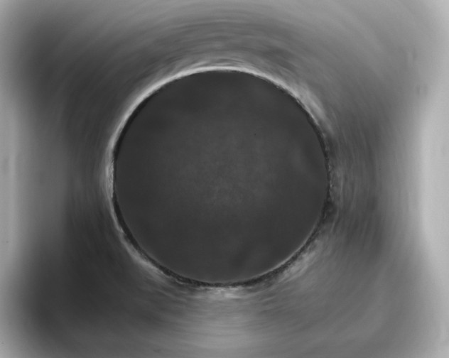 X0000096971519200802221352