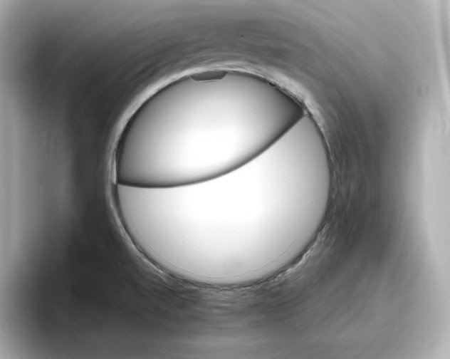 X0000096971520200802221352