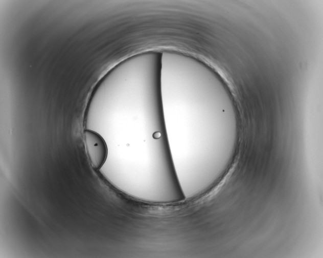 X0000096971521200802221352