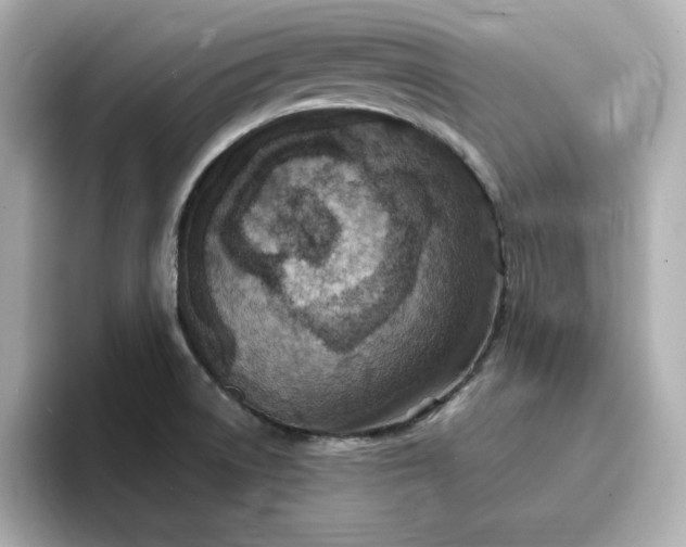 X0000096971522200802221352