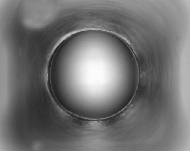 X0000096971523200802221352