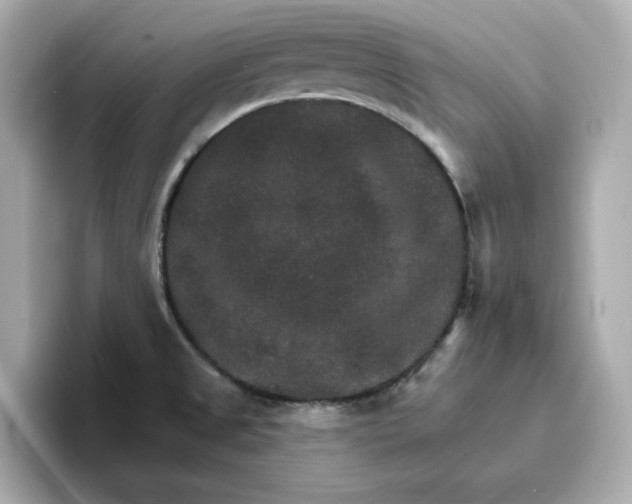 X0000096971525200802221352