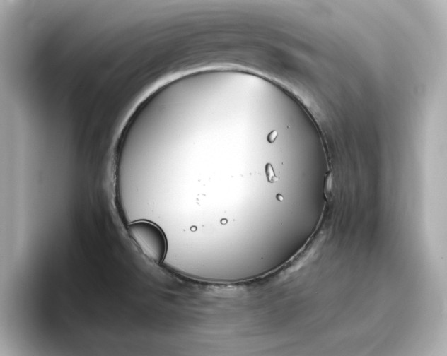 X0000096971526200802221352