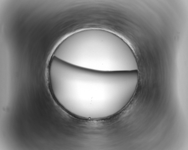 X0000096971527200802221352