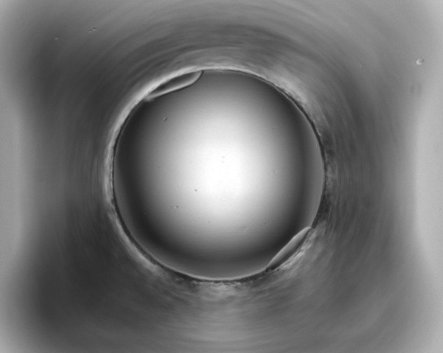 X0000096971528200802221352