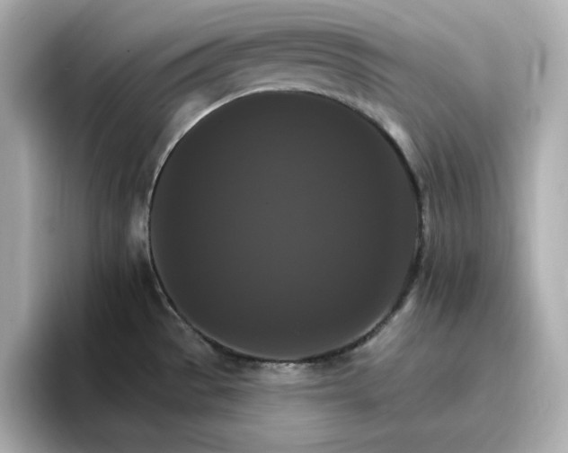 X0000096971529200802221352