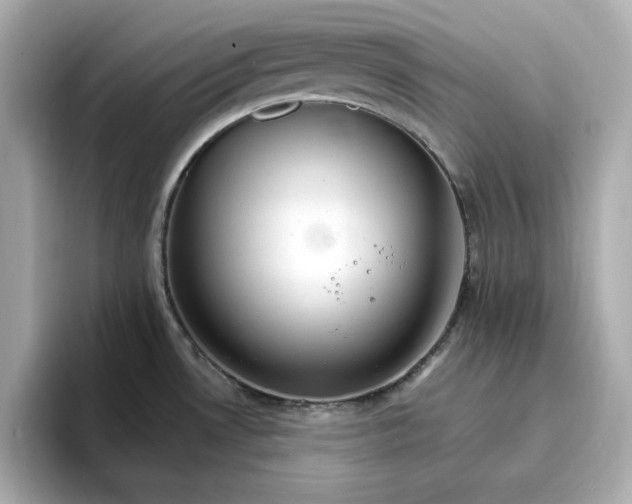 X0000096971530200802221352