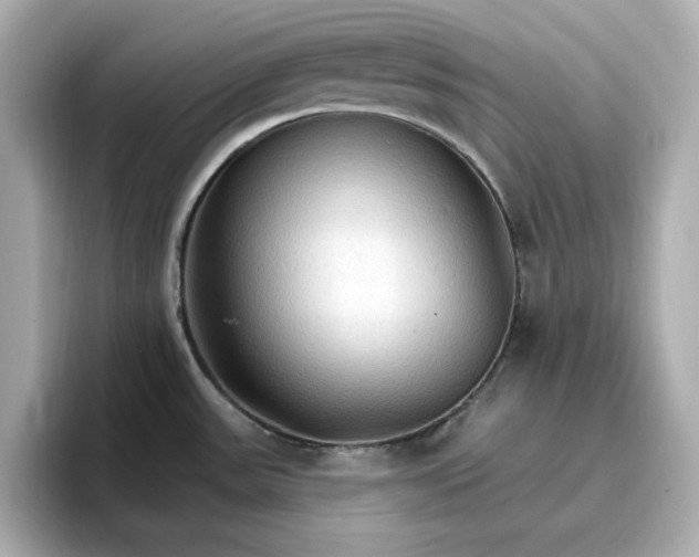 X0000096971531200802221352