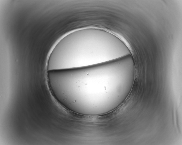 X0000096971532200802221352