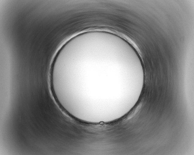 X0000096971533200802221352