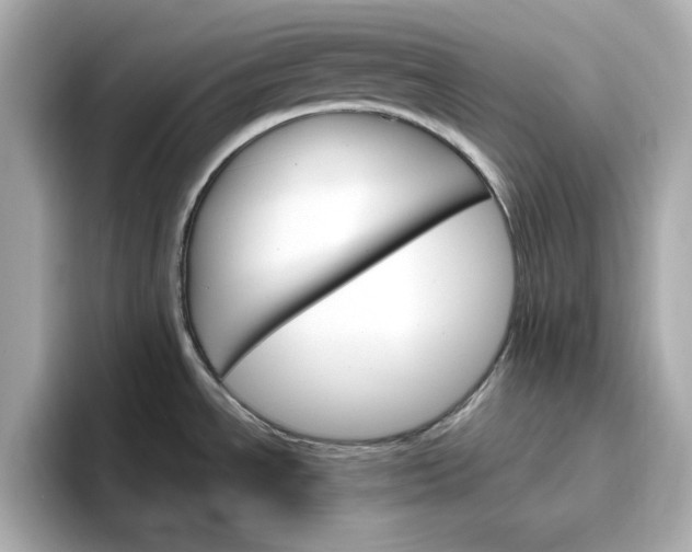 X0000096971534200802221352