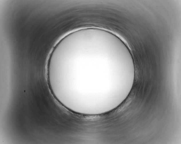 X0000096971535200802221352