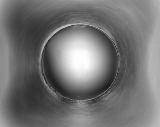 X0000096971536200802221352