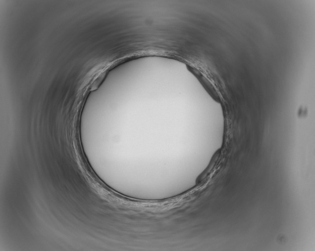 X0000096970001200802291133