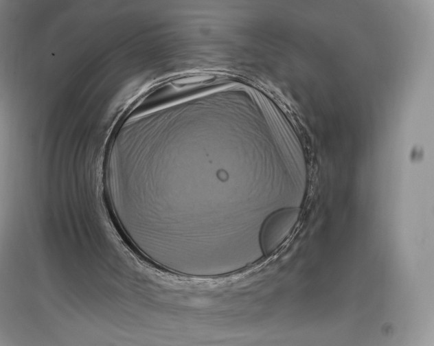 X0000096970002200802291133