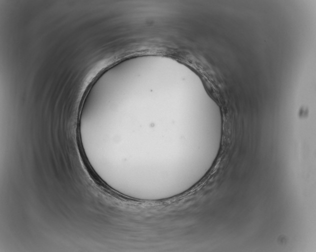 X0000096970003200802291133