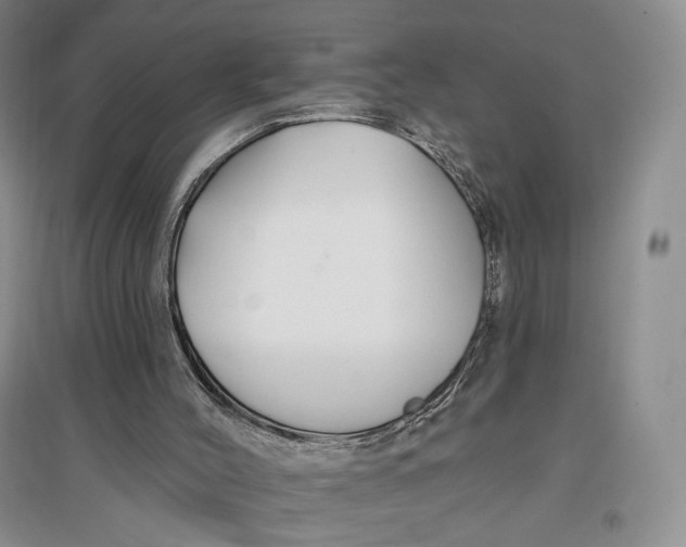 X0000096970004200802291133