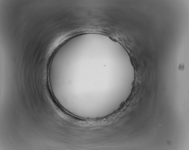 X0000096970005200802291133