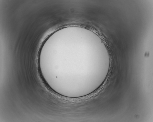 X0000096970006200802291133