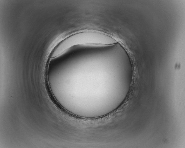 X0000096970007200802291132