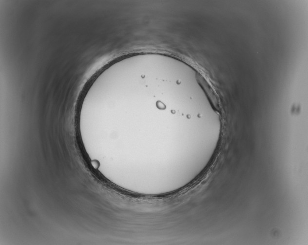 X0000096970008200802291132