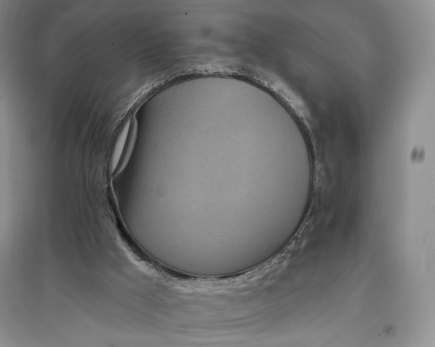 X0000096970009200802291132