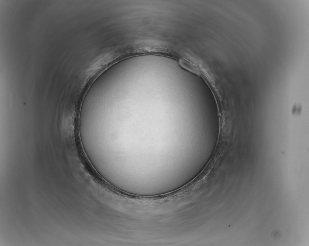 X0000096970010200802291132