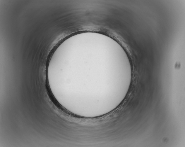 X0000096970011200802291132