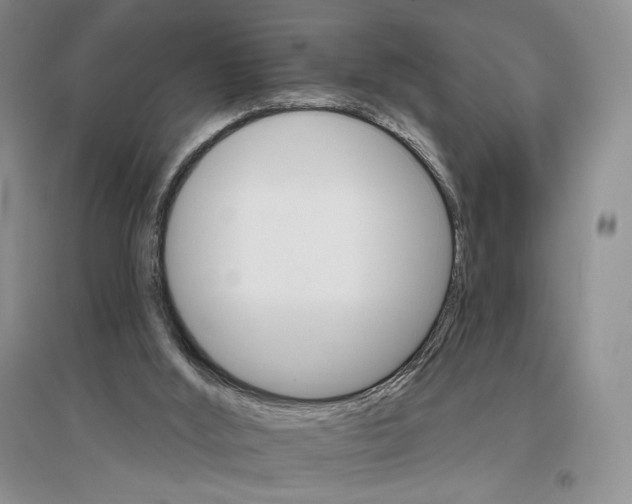 X0000096970012200802291132