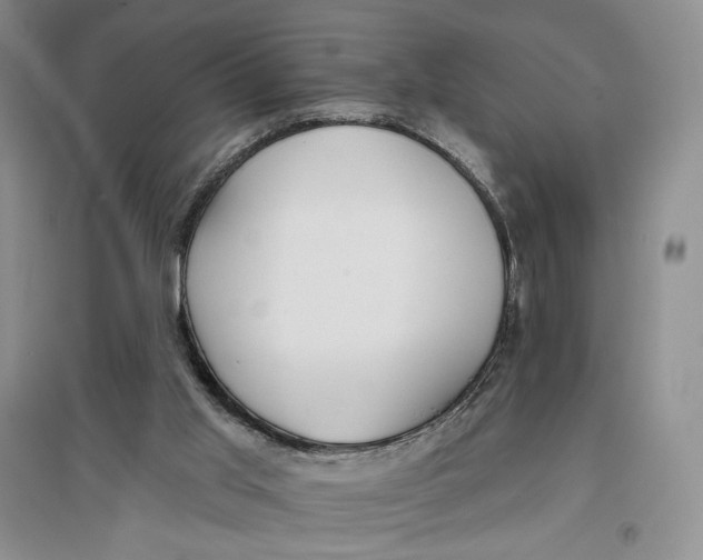 X0000096970013200802291132