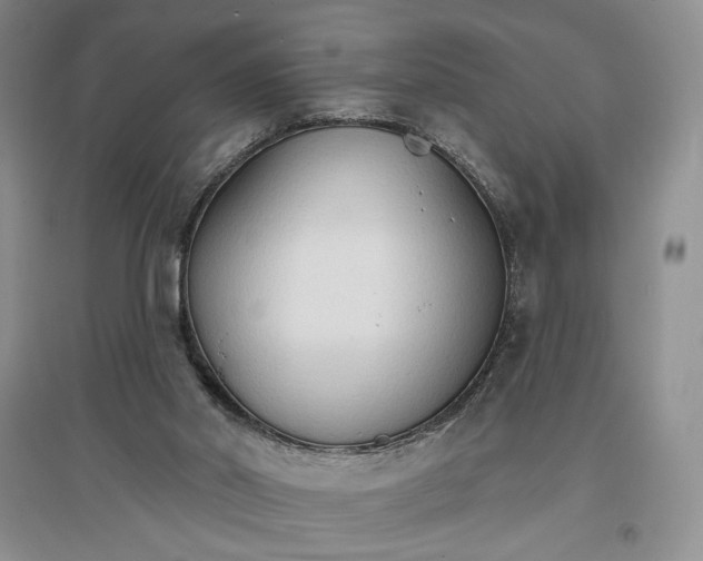 X0000096970014200802291132