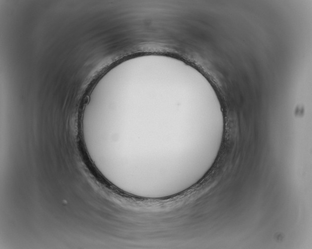 X0000096970015200802291132