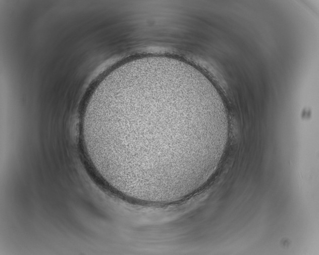 X0000096970016200802291132