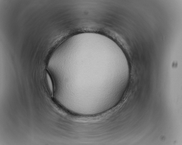 X0000096970017200802291132