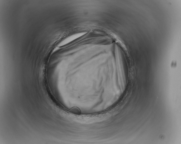 X0000096970018200802291132