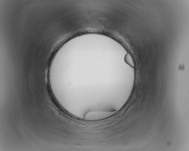 X0000096970019200802291132