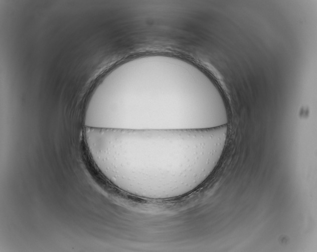 X0000096970020200802291132