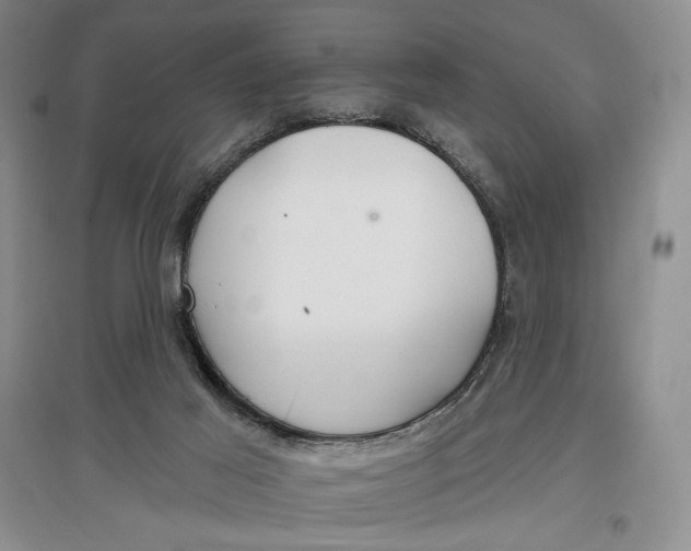 X0000096970021200802291132