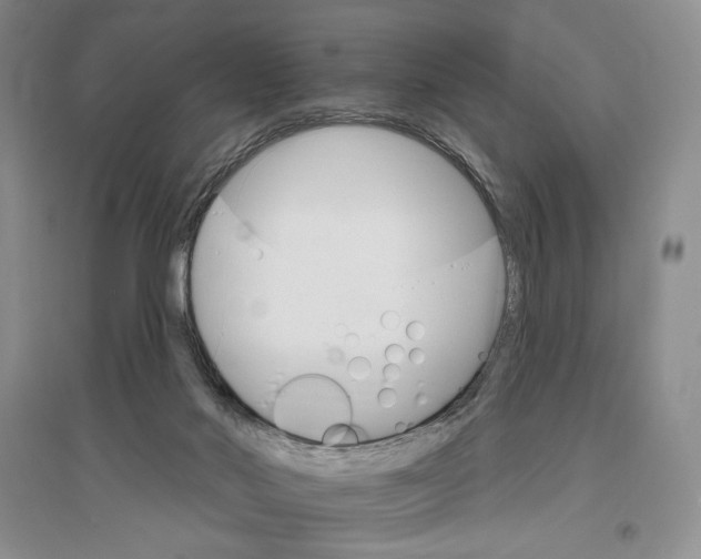 X0000096970022200802291132