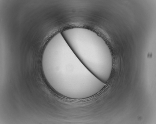 X0000096970023200802291132