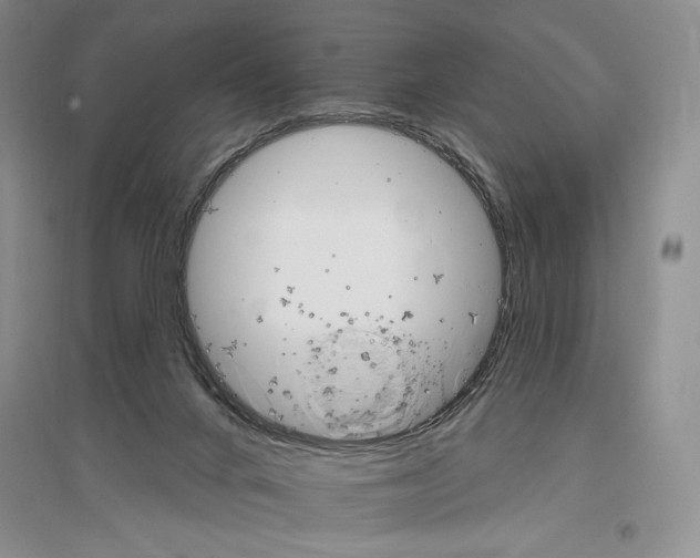 X0000096970024200802291132