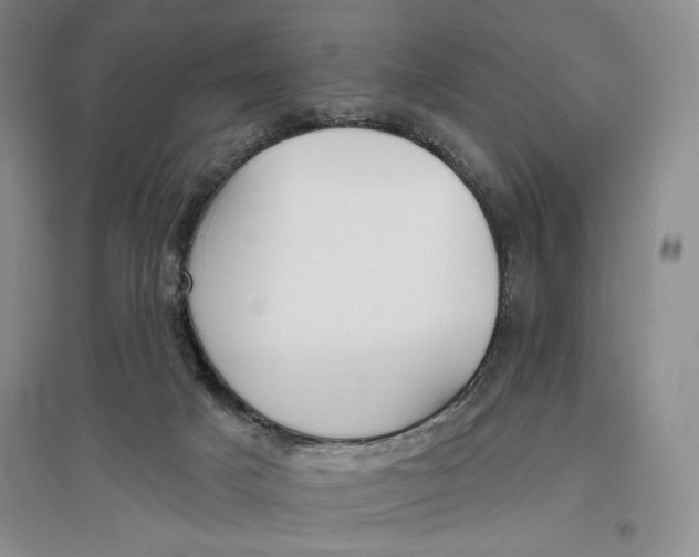 X0000096970025200802291132