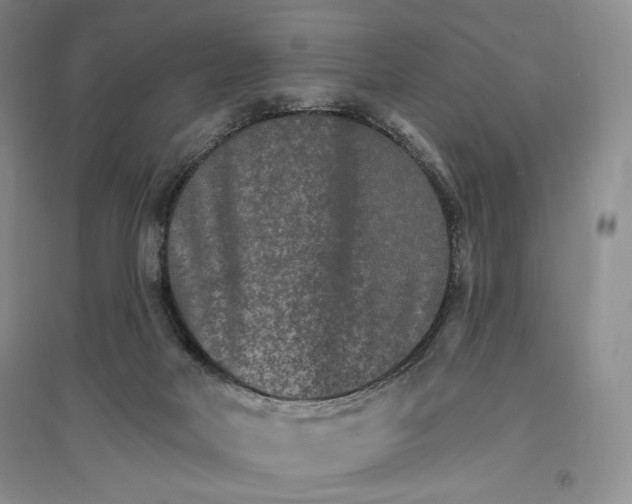 X0000096970026200802291132