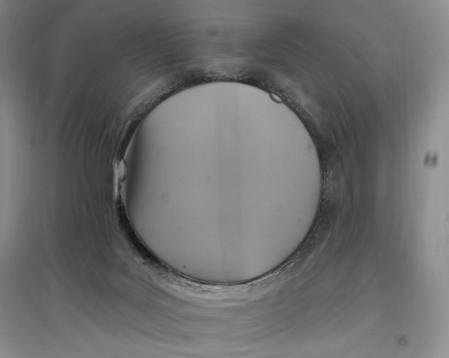 X0000096970027200802291132