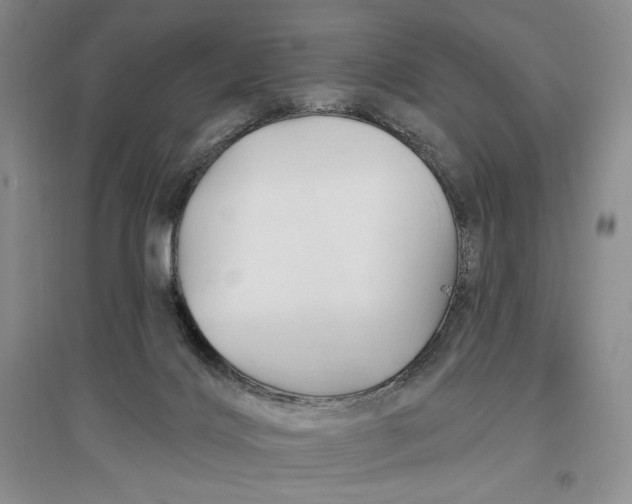 X0000096970028200802291132