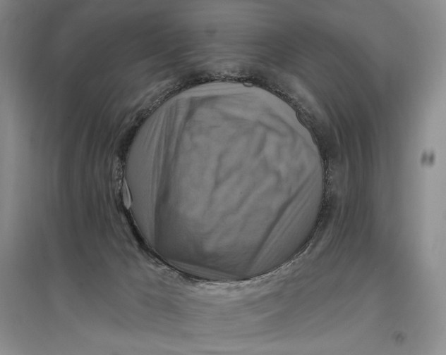 X0000096970029200802291132