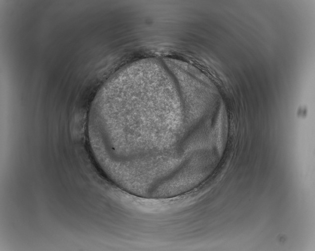 X0000096970030200802291132