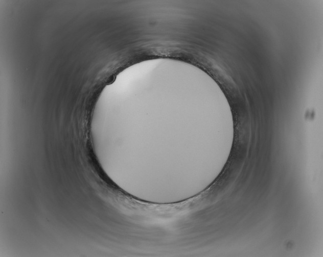 X0000096970031200802291132